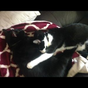 Meet your Posher, Melanie